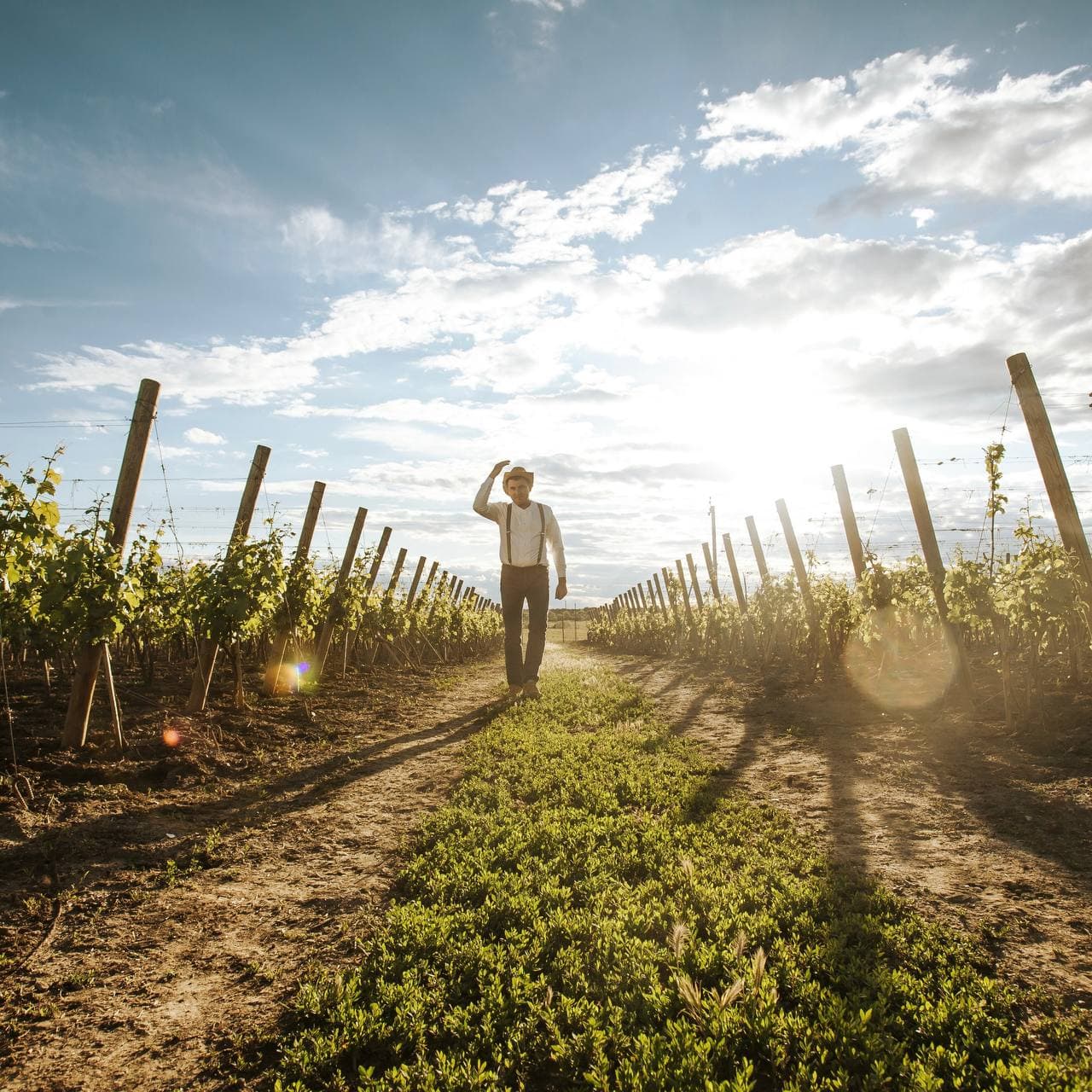 Экскурсия с дегустацией