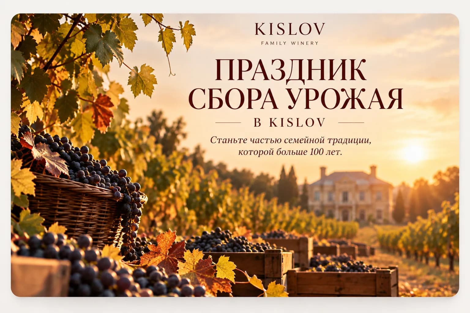 ПРАЗДНИК СБОРА УРОЖАЯ В KISLOV 🍇